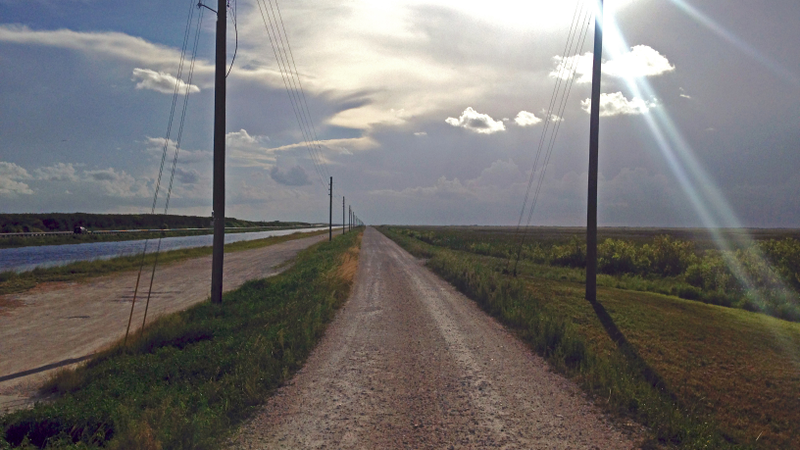 A dirt road just north of the Tamiami Trail.
